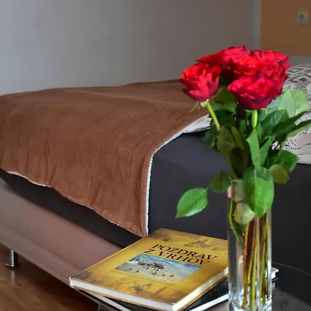 Sobe - Stremljan Ljubljana 3*